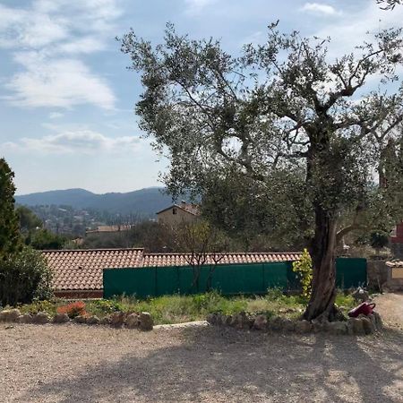 Rez De Villa Peymeinade Bagian luar foto